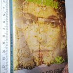 https://esconderijodoslivros.pt/wp-content/uploads/2019/12/B22-Livro-n%c3%a3o-catalogado-37.jpg