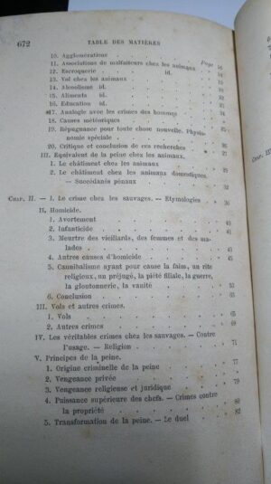 L'homme criminel - César Lombroso