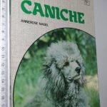 https://esconderijodoslivros.pt/wp-content/uploads/2020/01/B30-Livro-n%c3%a3o-catalogado-109.jpg