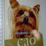 https://esconderijodoslivros.pt/wp-content/uploads/2020/01/B31-Livro-n%c3%a3o-catalogado-18.jpg