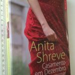 Casamento em Dezembro - Anita Shreve
