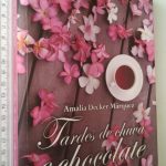 Tardes de Chuva e Chocolate - Amália Decker Márquez
