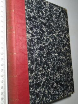 Os filhos da República ou amores d'um voluntário (2 vols.) - Luiz Noir