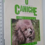https://esconderijodoslivros.pt/wp-content/uploads/2020/05/B42-Livro-n%c3%a3o-catalogado-5.jpg
