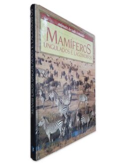Mamíferos Ungulados e Lagomorfos (Animais de Todo o Mundo) 2