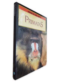 Primatas (Animais de Todo o Mundo)