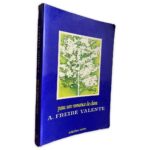 Para um Romance de Clara - A. Freire Valente