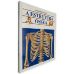 A Estrutura Óssea - Descobrir o Corpo