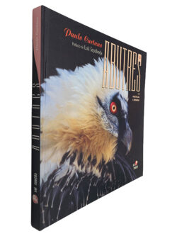 Abutres - Paulo Caetano