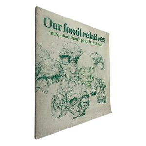 Our Fossil Relatives (More About Man_s Place in Evolution)
