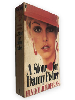 A Stone for Danny Fisher - Harold Robbins