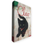 Cleo - Helen Brown