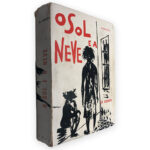 O Sol e a Neve - Sá Coimbra