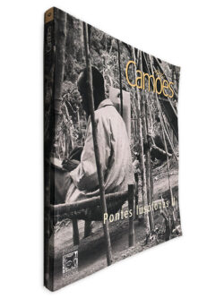 Pontes Lusófonas (Camões N.º 6) - Revista de Letras e Culturas Lusófonas