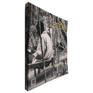 Pontes Lusófonas (Camões N.º 6) - Revista de Letras e Culturas Lusófonas