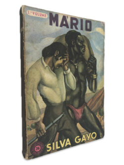 Mário - Silva Gayo