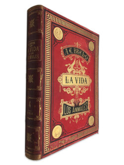 La Vida Los Animales (Volume 4) - A. E. Brehm
