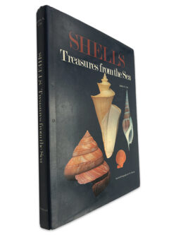 Shells (Treasures From The Sea)