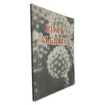 Rinite Alérgica -