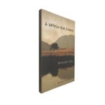 A Pátria dos loucos - Bernardo Rodo