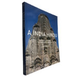 A Índia Hindu - Henri Stierlin