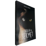 A batalha de Sekmet - Vanessa Lourenço