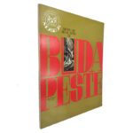 Museu de Artes de Budapeste