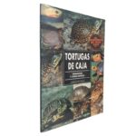 Tortugas de Caja - Jordan Patterson