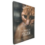 As crónicas de Piligrim - Vanessa Lourenço