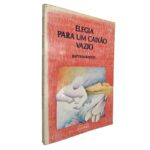 Elegia para um caixão vazio - Baptista-Bastos