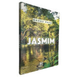 Jasmim - Amadú Dafé