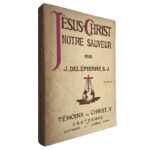 Jésus-Christ notre sauveur - J. Delépierre