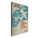 Uma gaivota com óculos - Carlos Pinhão