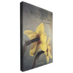 A outra face de Narciso - Illida Garen