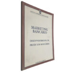 Marketing bancário (Desenvolvimento de produtos bancários) 2º volume