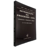 Introdução ao processo civil (Conceito e princípios gerais) - José Lebre de Freitas