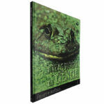 Atlas visual da ciência (Volume 11 - Peixes e anfíbios)
