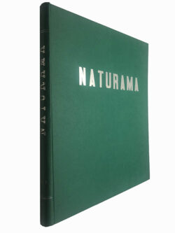 Naturama (Enciclopédia Ecológica de Ciências Naturais - Volume 5)