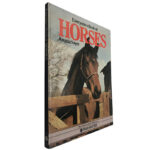 Everyone's book of horses - Angela Sayer