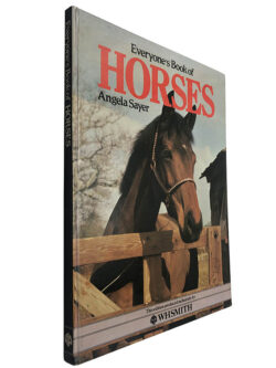 Everyone's book of horses - Angela Sayer