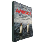 Amigos - Lisa Gee