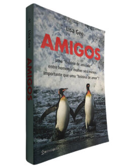 Amigos - Lisa Gee