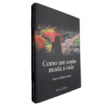 Como um sonho muda a vida - Maria Helena Pires