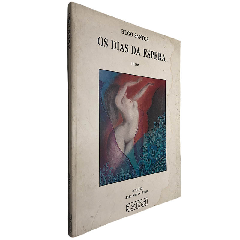 Os dias da espera Hugo Santos Os dias da espera - Hugo Santos - Image 1