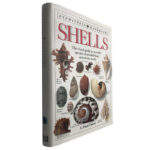 Shells (Eyewitness Handbooks) - S. Peter Dance
