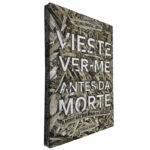 Vieste ver-me antes da morte - Celina Amaral Lopes