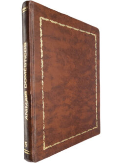ABC da criação de periquitos (Animais domésticos - Volume 5) - Cyril H. Rogers