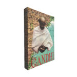 Gandhi - Louis Fischer