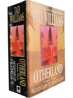 Otherland (Volume 3 - Mountain of black glass) - Tad Williams