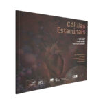 Células estaminais - João Ramalho-Santos / Inês Araújo / Luís Pereira de Almeida